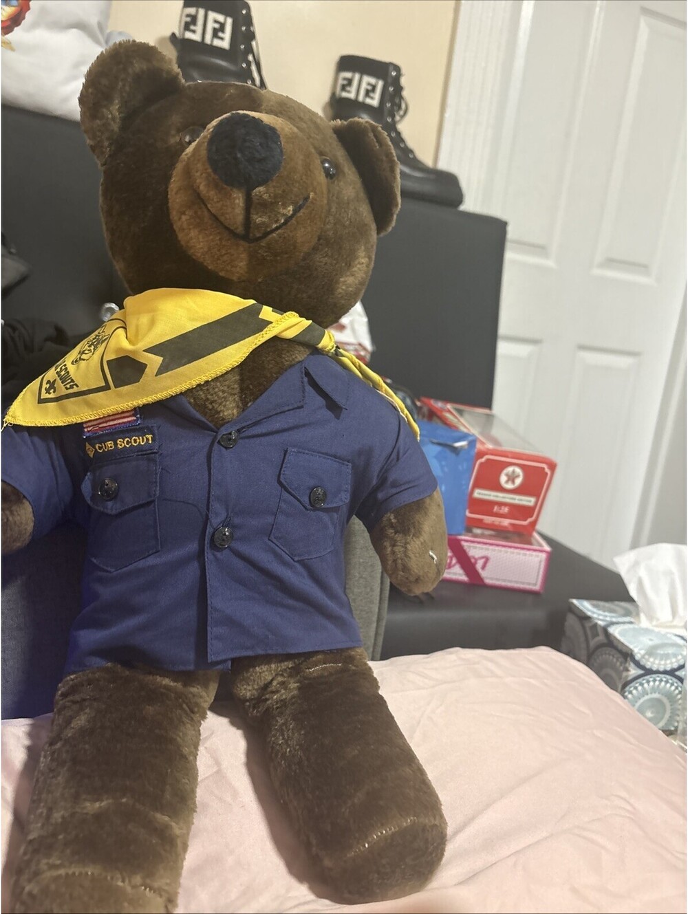 Cub Scout Bears BSA Boy Scouts